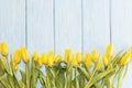 Yellow tulips on a light blue wooden background Royalty Free Stock Photo