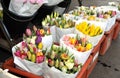 Yellow tulips lisse Royalty Free Stock Photo