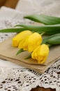 Yellow tulips upon old book