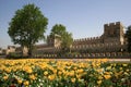 Yellow tulips opposite historical Topkapi City Walls, in Istanbul Royalty Free Stock Photo