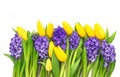 Yellow tulips purple hyacinth Spring flowers bouquet Royalty Free Stock Photo