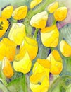 Yellow tulips and starry skies abstract watercolor painting Royalty Free Stock Photo