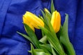 Yellow tulips on a textured fabric surface heavily wrinkled