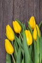 Yellow tulips on wooden background