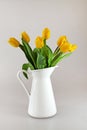 Yellow tullips in jug