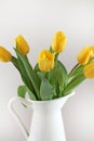 Yellow tullips in jug