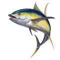 Black fin yellow tuna Royalty Free Stock Photo