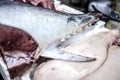 Yellow tuna fins section sold in a fishmarket, Catania