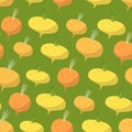 Yellow turnip pattern. Seamless background with turnips. Vector Royalty Free Stock Photo