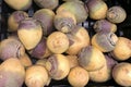 Yellow turnips vegetables piled on the market stall