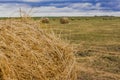 Yellow Twisted haystack on the field of agriculture landscape