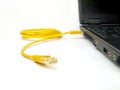 Yellow twisted pair ethernet network cable connected to laptop