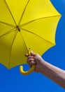 Yellow umbrella