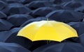 Yellow umbrella among dark ones Royalty Free Stock Photo