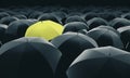 Yellow umbrella in mass of black umbrellas Royalty Free Stock Photo