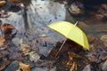 Yellow umbrella in a poddle with autumn fall leaves. Autumn concept Royalty Free Stock Photo