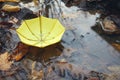 Yellow umbrella in a poddle with autumn fall leaves. Autumn concept Royalty Free Stock Photo