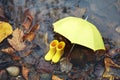 Yellow umbrella and rubber boots in a poddle with autumn fall leaves. Autumn concept Royalty Free Stock Photo