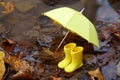 Yellow umbrella and rubber boots in a poddle with autumn fall leaves. Autumn concept Royalty Free Stock Photo