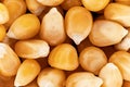 Yellow unpopped popcorn corn kernels, closeup detail photo, image width 23mm
