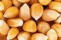 Yellow unpopped popcorn corn kernels, closeup detail photo, image width 23mm Royalty Free Stock Photo
