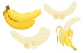 Yellow vector bananas set.Banana sliced.