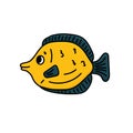 Yellow vector cartoon tang fish. Outline Animal is isolated on white background. Eyes and mouth are visible Royalty Free Stock Photo