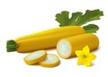 Yellow vegetable marrow zucchini on white background