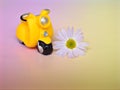 Yellow vespa scooter with white Daisy Flower on sweet background