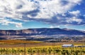 Yellow Vines Grapes Fall Vineyards Red Mountain Benton City Washington Royalty Free Stock Photo