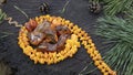 Yellow vintage Baltic royal amber necklace and sparkling orange pieces of amber are nicely laid out on the dark stump.