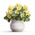 Photorealistic Yellow Violas In White Vase - Zbrush Style