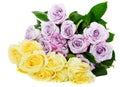 Yellow and violet bouquet roses