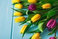 Yellow and violet tulips on blue wood background, copy space Royalty Free Stock Photo