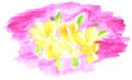 Yellow violets on a lilac background. Watercolor flower. Beautiful design illustration. Hand drawing modern