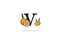 Yellow VOAVANGA FRUIT Vector, Great combination of Voavanga Fruit symbol with letter V