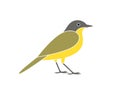 Yellow wagtail logo. Isolated yellow wagtail on white background