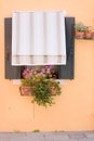 Yellow wall and curthain covered window of a home, flowers Royalty Free Stock Photo