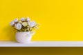 Yellow wall with flowers on shelf white wood, copy space text. Royalty Free Stock Photo