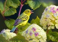 Yellow Warbler singing in Oakleaf Hydrangea Blossoms bird songbird Ornithology Science. Generative AI