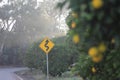 A Windy Road Up Ahead