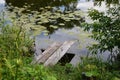 Yellow water lily, or brandy-bottle NÃÂºphar lÃÂºtea, and wooden bridge in river