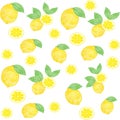 Yellow Watercolor Lemon Slices Pattern On White Background. Watercolor Seamless Pattern Of Lemon.