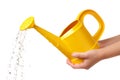 A yellow watering can in hand isolated on a white or transparent background. Water splashes and droplets pour out of the Royalty Free Stock Photo