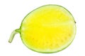 Yellow watermelon