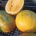 Yellow watermelon fruit placed in a plastic basket by a fruit seller Royalty Free Stock Photo