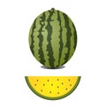 Yellow watermelon