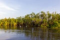 Yellow waters billabong, Northern Australia