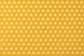 Yellow wax honeycomb base texture Royalty Free Stock Photo