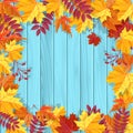 Yellow wet autumn leaves on the background a dark old wood Royalty Free Stock Photo